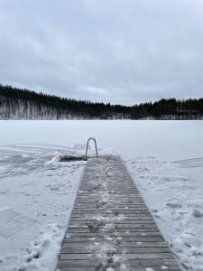 Villa Jäkälä - An architectural wooden villa by the lake