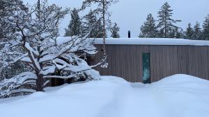 Villa Jäkälä - An architectural wooden villa by the lake