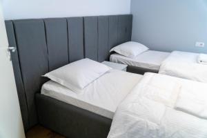 Signature apartment 5