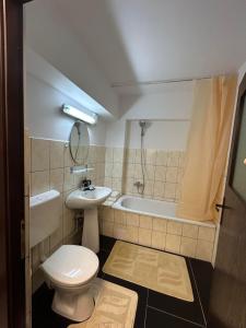 Apartament de 3 camere zona Obcini
