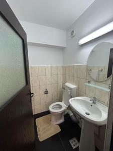 Apartament de 3 camere zona Obcini