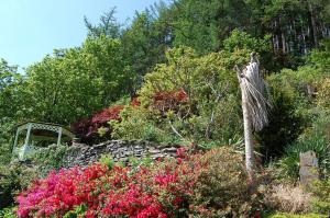 Tawel Fryn Bungalow near Dolgellau