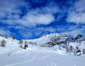 Appartements Isola 2000 pied des pistes-wifi : photos des chambres