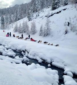 Appartements Isola 2000 pied des pistes-wifi : photos des chambres