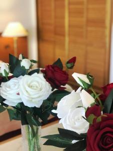 Chateau Linza Resort