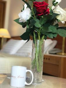 Chateau Linza Resort