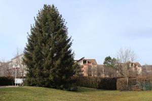 Hotels Hotel Melodie : photos des chambres