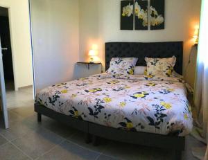 Villas charming family house with pool located at L'isle sur la sorgue - sleeps 8 : photos des chambres