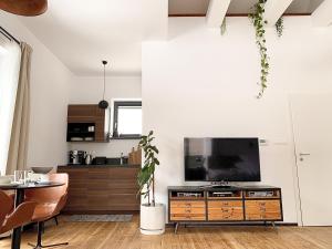 Apartment Loft Lomnica