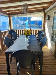 MH 278 les dunes de contis "domino"