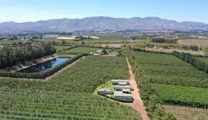 Moortop Cottages - Botrivier