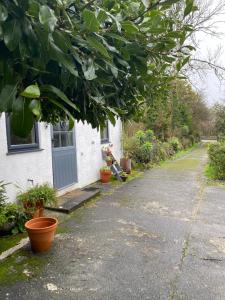 Pond Cottage