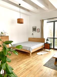 Apartment Loft Lomnica