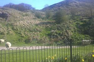 Spacious rural Cotswolds family home with mod-cons!