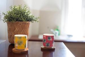 Grand T1 proche Promenade des Anglais