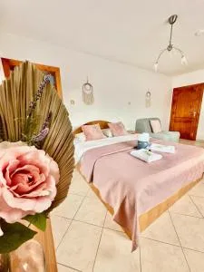 Pensiunea Beatrice - 布泽乌河畔恩托尔苏拉