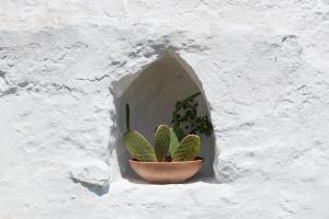 Dimora Il Calaprico by Wonderful Italy