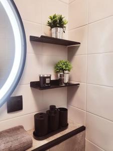 Urban Oasis: Stylish Retreat