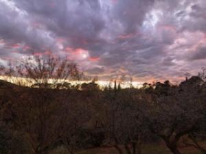 B&B / Chambres d'hotes Bastide Saint Bernard : photos des chambres
