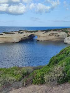 lungomare chess img18