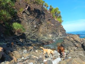 Tupis Beachfront Minihouse