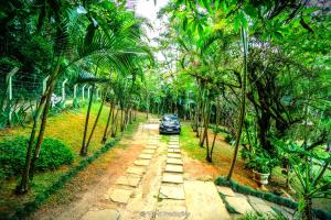 Chácara Atibaia com Casa na Árvore