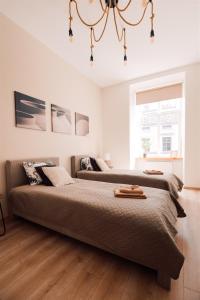 Harmony apartment9 guests4 BR Riga Old Town