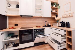 Harmony apartment9 guests4 BR Riga Old Town