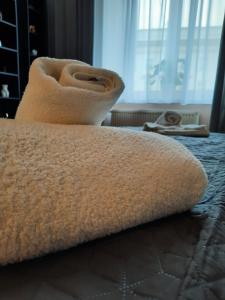 Luxury Senate Apartment