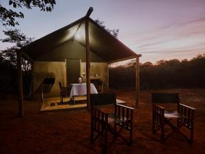 Mountain Peak Camping Sites