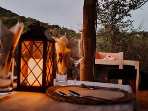 Mountain Peak Camping Sites