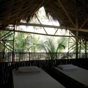 Pajarito Eco-Lodge frente al mar