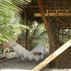 Pajarito Eco-Lodge frente al mar - Río Cedro