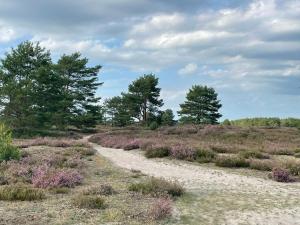 Gemütliche Ferienwohnung in Neu Kaliß
