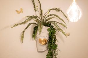 Appartements Le Boudoir Secret : photos des chambres