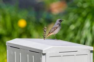 Domek całoroczny na wyłączność Niebieska Osada nad górskim potokiem
