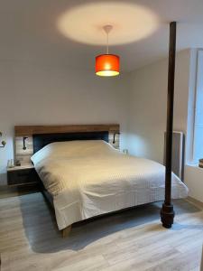 Appartements Le Moulin de Gueuzon : photos des chambres