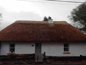 Traditional Irish Thatched Cottage - Swanlinbar