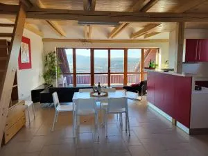 Apartmán Holubka - Studnice