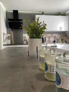 Appartements T2 - Secteur Pech David - Wifi - Climatisation : photos des chambres