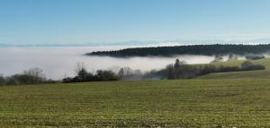 Grenzenlose Ferien im Süd-Schwarzwald geniessen, nahe zur Schwei