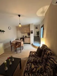 Casa delle farfalle - 维西奥玛吉欧