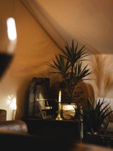 Appartements L-aventurier, nuit insolite et hors du temps ! : photos des chambres