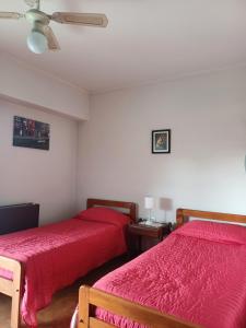 DEPARTAMENTO PLAZA GUEMES MDP