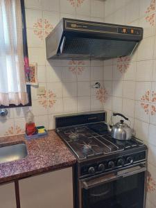 DEPARTAMENTO PLAZA GUEMES MDP