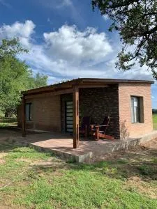 Portezuelo de árboles - Taninga