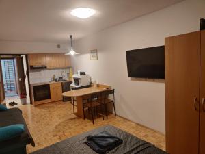 Apartma Luka with private parking