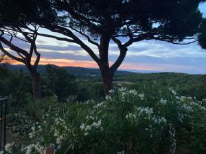 La maison de l Escalet