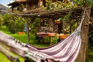 Chuensuca: naturaleza y bienestar