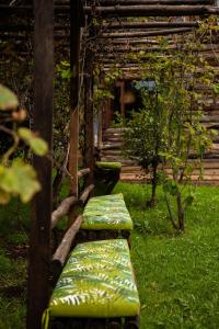 Chuensuca: naturaleza y bienestar